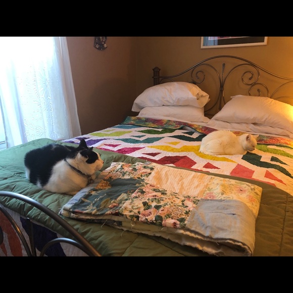 Meet your Posher, Elizabeth - Picture 4 of 4